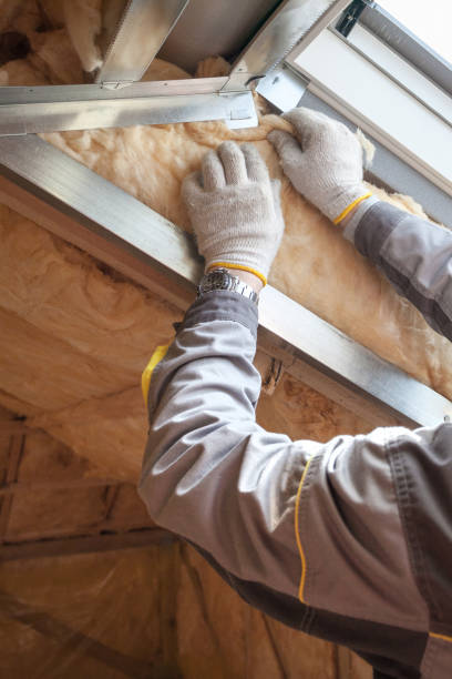 Best Insulation Maintenance and Repair in Lake Geneva, WI